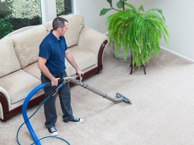 Professional Carpet Cleaning: DIY Methods Aren’t Enough