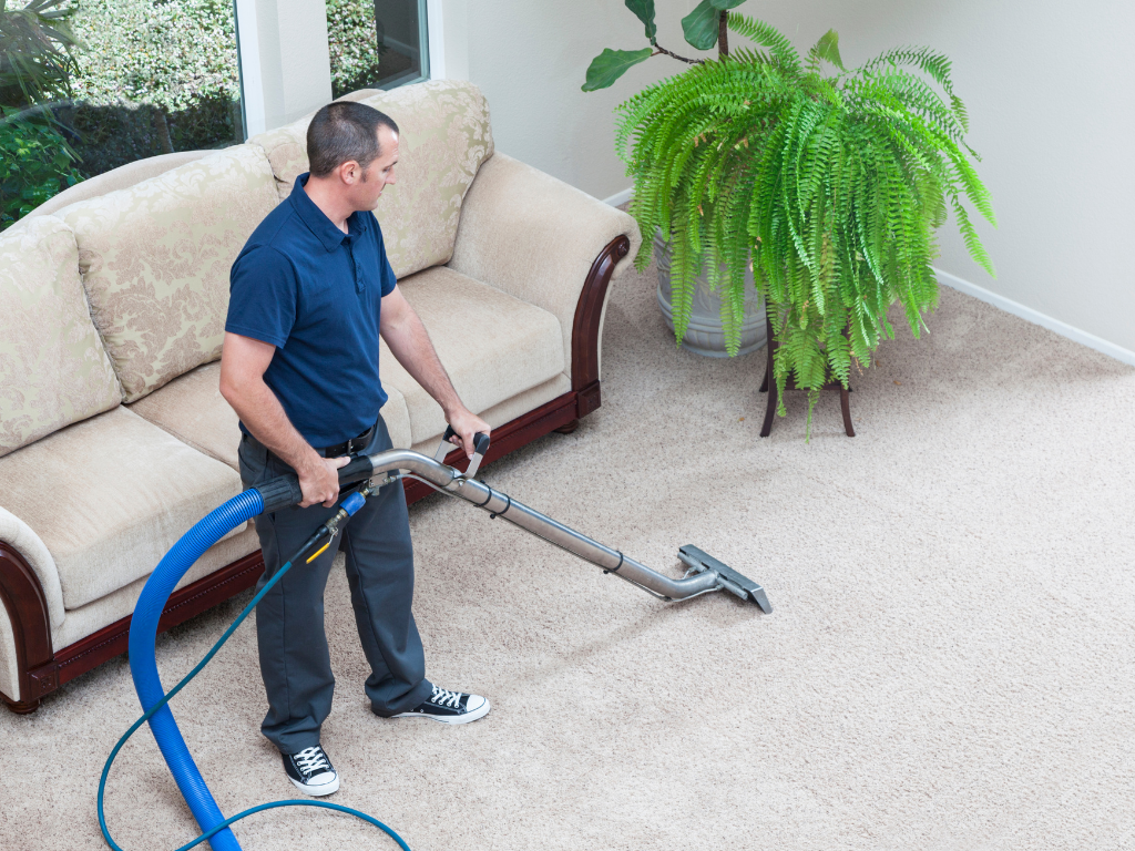 Professional Carpet Vacuuming